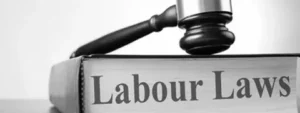 Why Are Labour Lawyers Essential for Employee Rights?