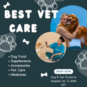 dog supplies online