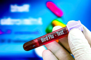 DNA Test in Riyadh