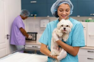 online dog vet