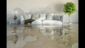 Water Damage Restoration 
