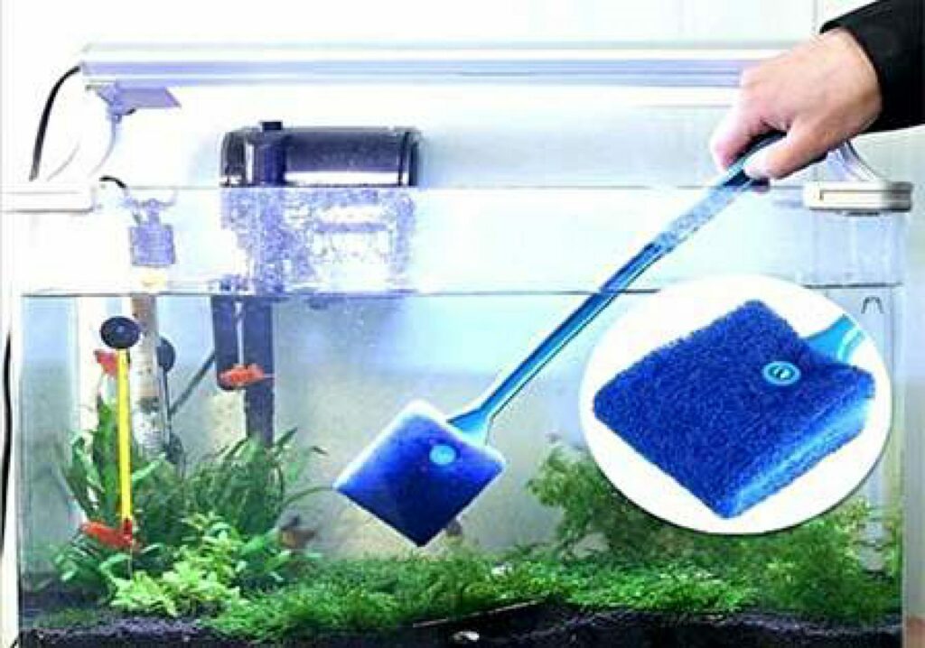 removing fish tank odor