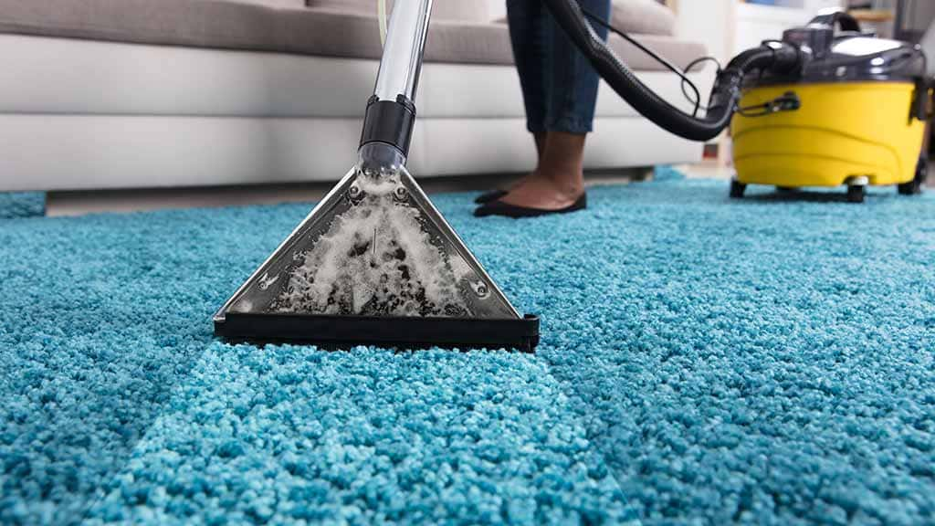 How Regular Carpet Cleaning Can Save You Money