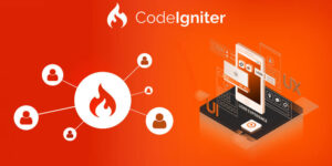 codeigniter development Solutions