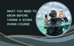 What You Need to Know Before Taking a Scuba Diving Course