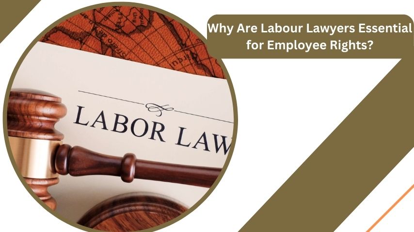 Why Are Labour Lawyers Essential for Employee Rights?