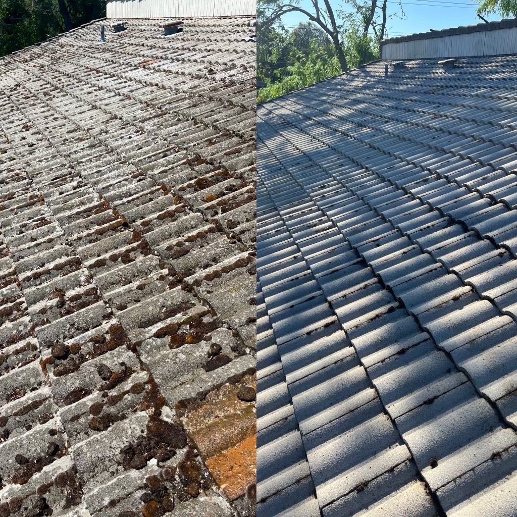 Clean Roof, Beautiful Home Expert Cleaning Strategies!