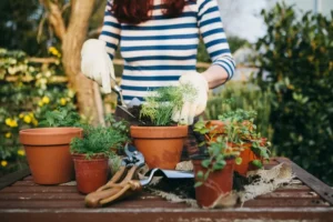 Online Gardening For Beginners