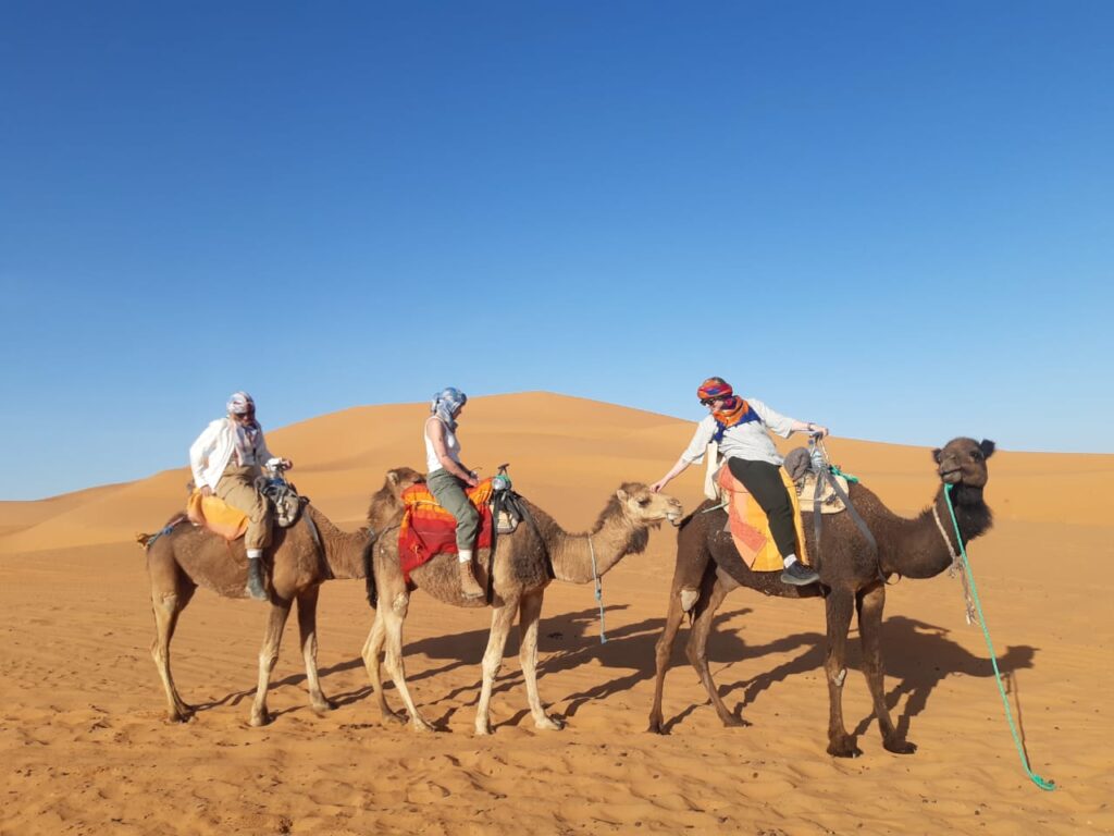 Merzouga desert tours