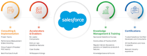 Salesforce Consulting Services