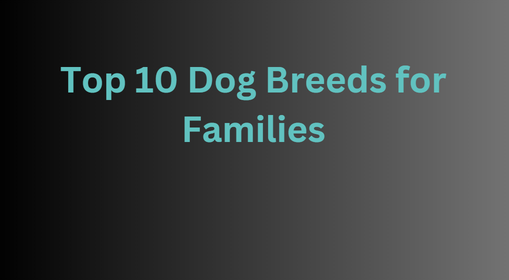 top 10 dog breeds