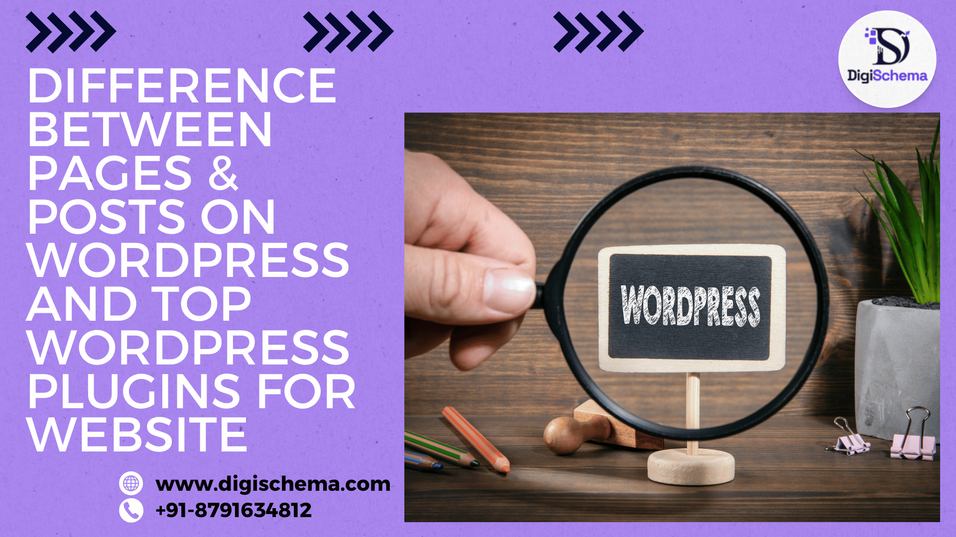 image shows the Difference Between Pages & Posts On WordPress And Top WordPress Plugins For Website and digi schema logo and contact information