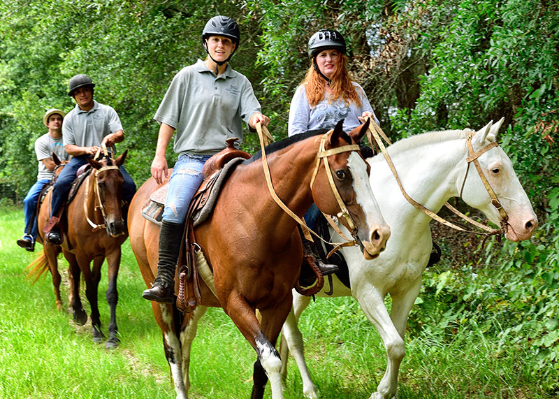 Horseback Riding Cincinnati: Pairing Trails with Local Attractions