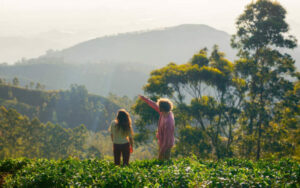 Places Visit in Sri Lanka