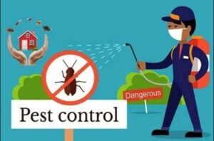 pest control in lahore