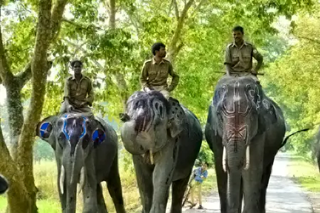 Kaziranga tour package