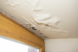 In this blog, we will take you through the process of how to handle water damage