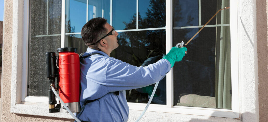 Effective Pest Control in Brampton Safeguard Your Home from Unwanted Visitors