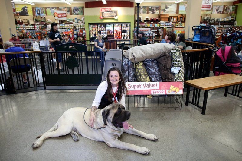 Psychiatric Service Dog Training