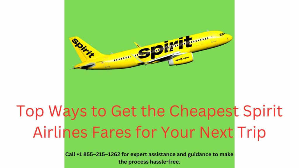 Discounted fares Spirit Airlines