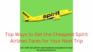 Discounted fares Spirit Airlines