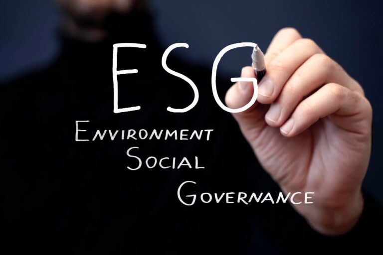 The Interdependence Of Esg Implementation And Sustainability In