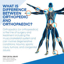 orthopaedic vs orthopedic