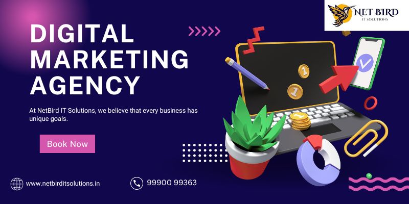 Best Digital Marketing Agency In Noida: NetBird IT Solutions