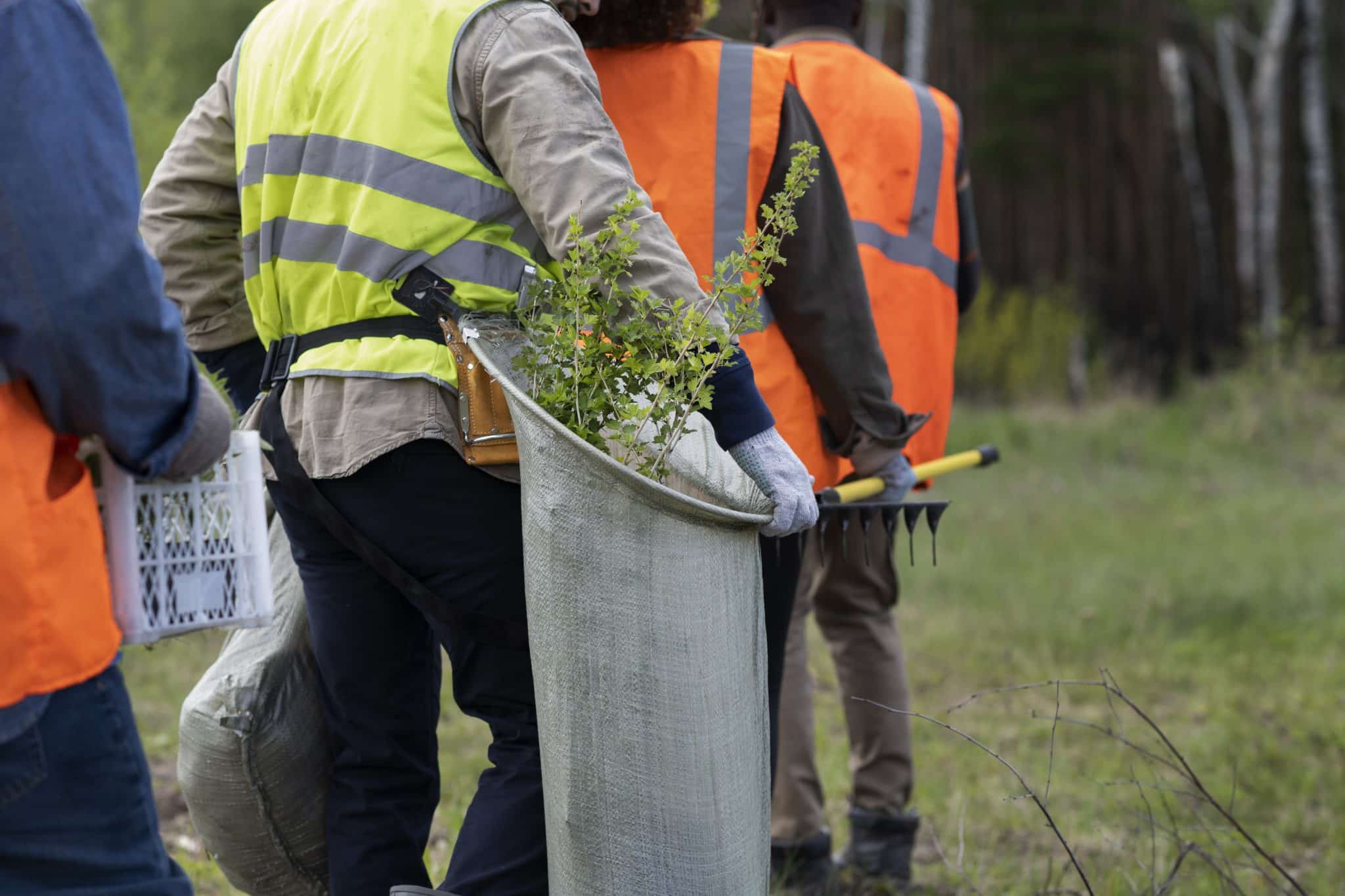 Affordable Tree Service