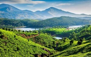 Beauty of Kerala's Beaches