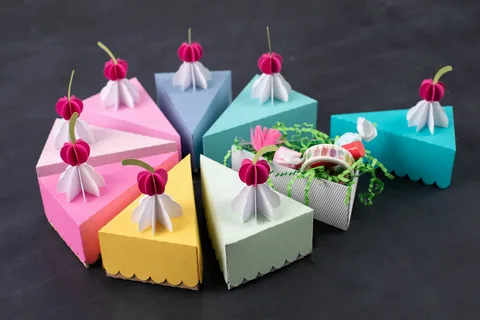 individual cake slice boxes