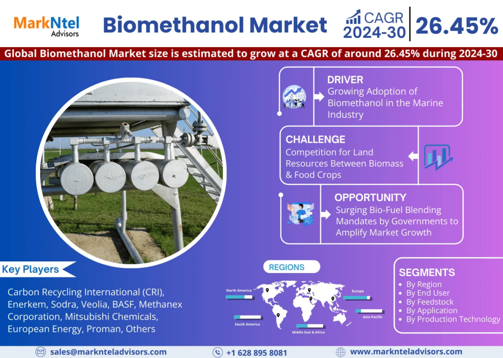 Global Biomethanol Market