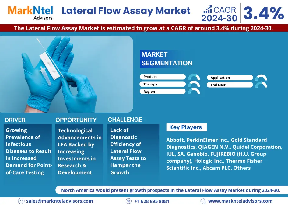 Global Lateral Flow Assay Market