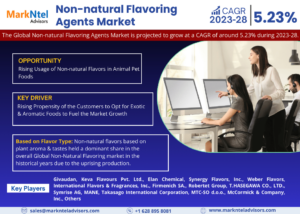 Global Non-natural Flavoring Agents Market