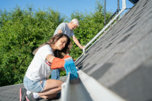 Gutter cleaning services