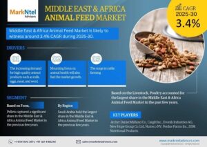 Middle East & Africa Animal Feed Market