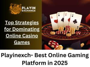 Playinexch-Best-Online-Gaming-Platform-in-2025