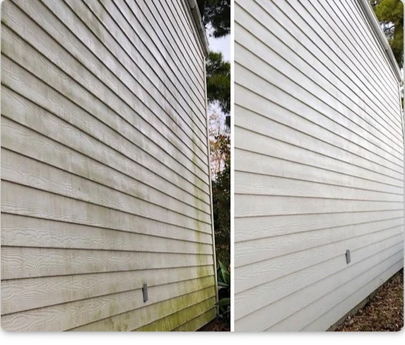 Siding Soft Wash Services