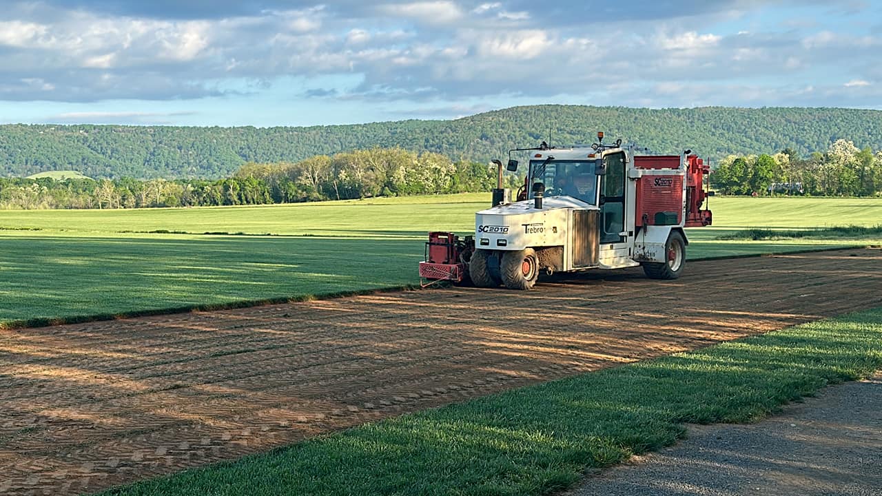 grass sod arlington