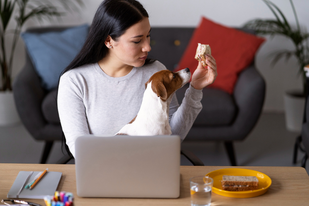 dogs and diet