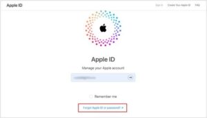 iforgot.apple.com website