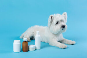 dog skin and coat supplement