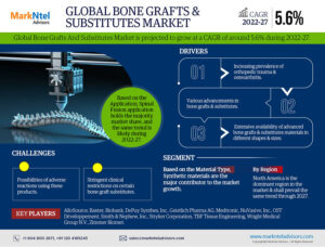 Bone Grafts And Substitutes Market