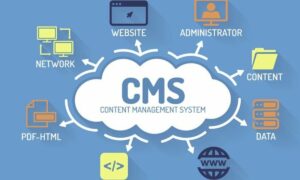 CMS Mobile Apps in South Africa