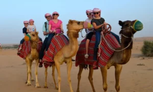 Unforgettable Desert Safari Sharjah – Adventure Awaits!