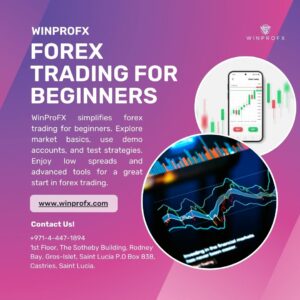 Forex Trading For Beginners