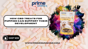 CBD Treats for Puppies