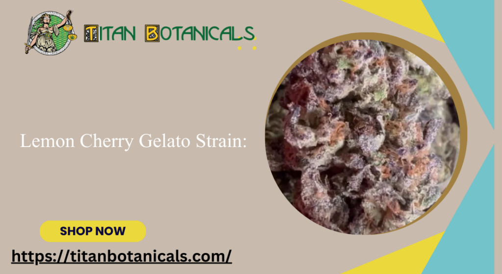 Buy Lemon Cherry Strain