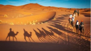 Book the Best Desert Safari Sharjah – Thrilling Rides & More