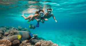 Snorkeling and Private Events